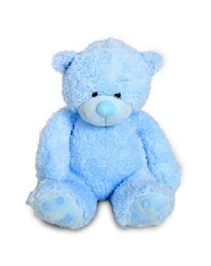 Teddy Bear